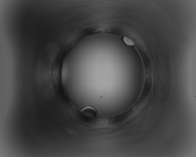 X0000100770127200806191249