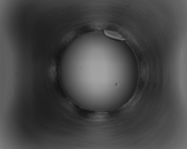 X0000100770128200806191249