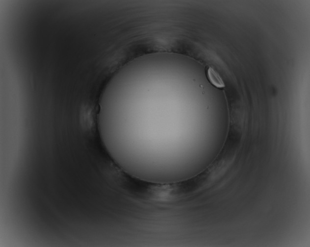 X0000100770131200806191249
