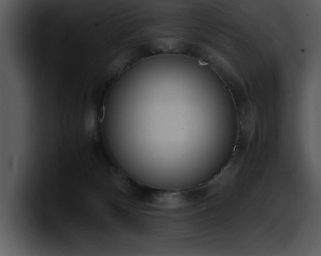 X0000100770132200806191249
