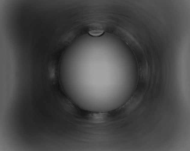 X0000100770134200806191249