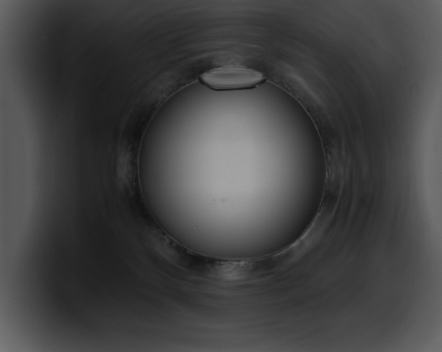 X0000100770136200806191249