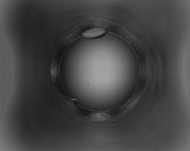 X0000100770137200806191249