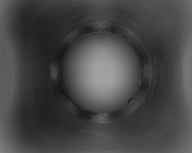 X0000100770138200806191249