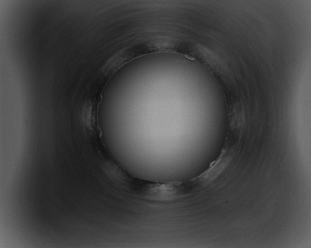 X0000100770140200806191249