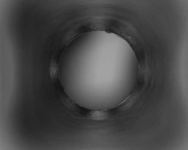 X0000100770141200806191249