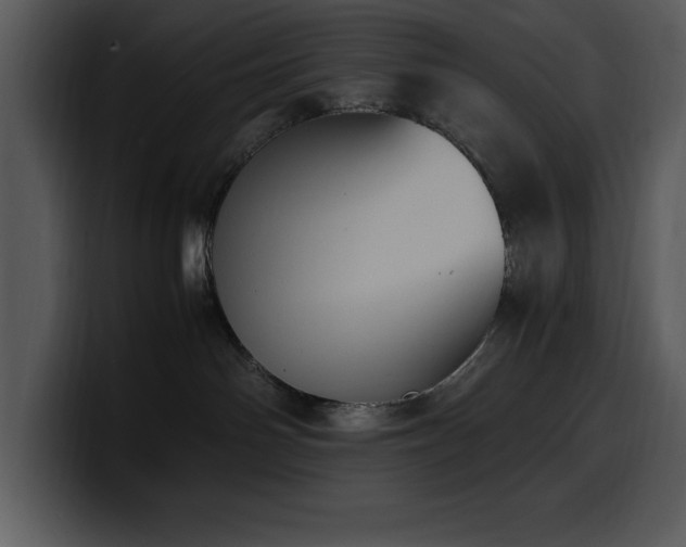X0000100770142200806191249