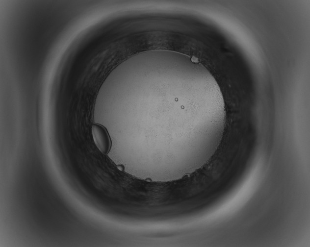 X0000100770143200806191249