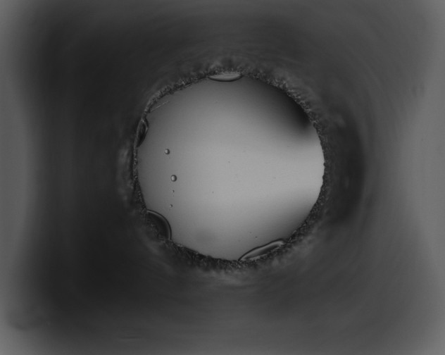 X0000100770144200806191249