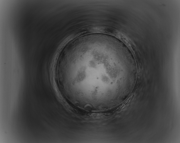 X0000100770145200806191248