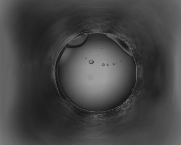 X0000100770147200806191248