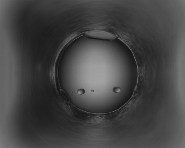 X0000100770148200806191248