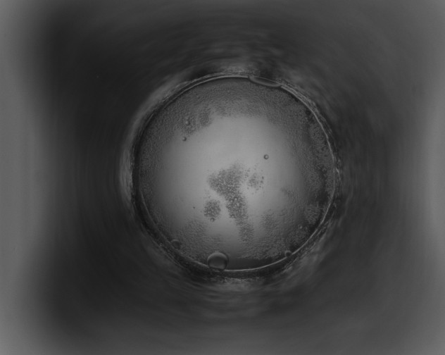X0000100770149200806191248