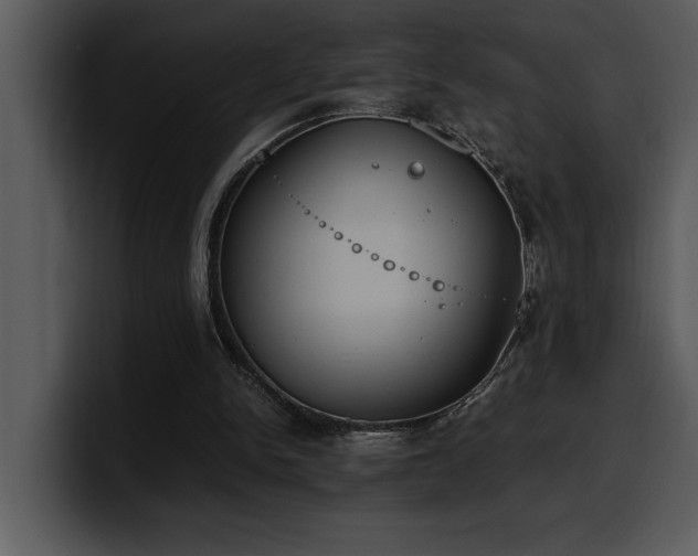 X0000100770150200806191248