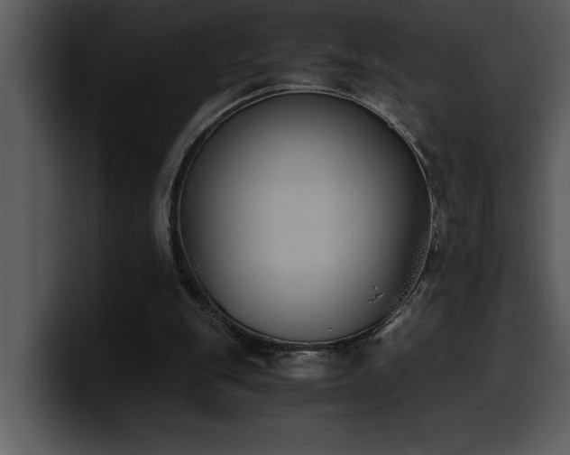 X0000100770151200806191248