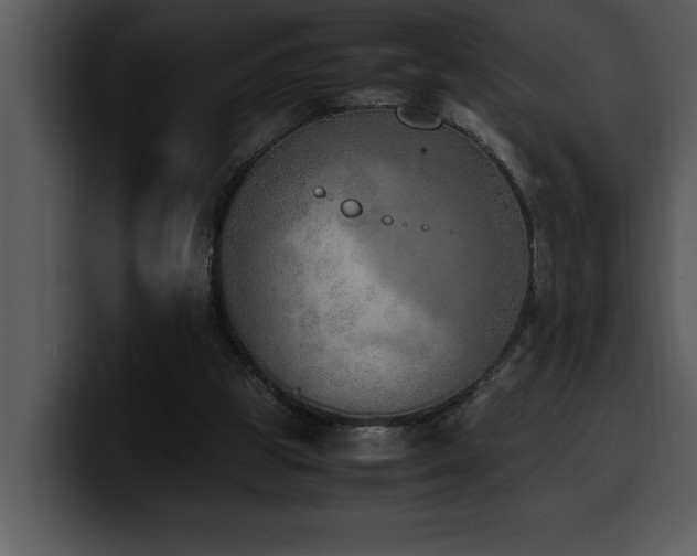 X0000100770153200806191248