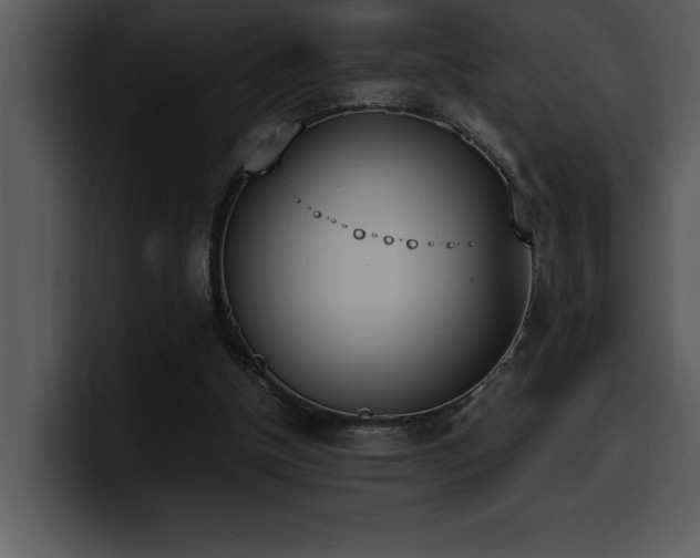 X0000100770154200806191248