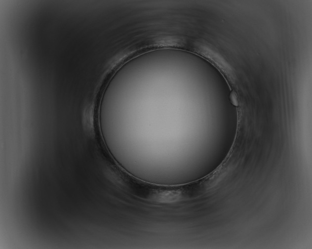 X0000100770155200806191248