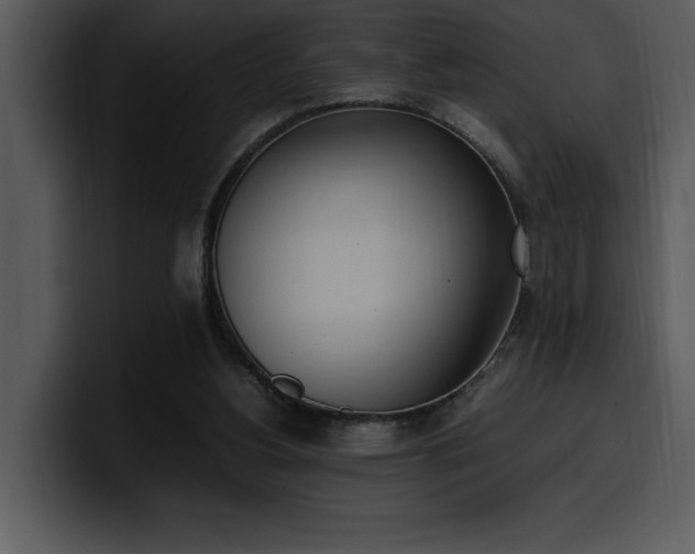 X0000100770156200806191248
