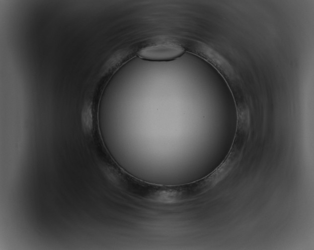 X0000100770158200806191248