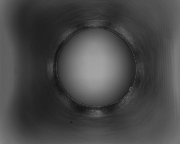 X0000100770159200806191248