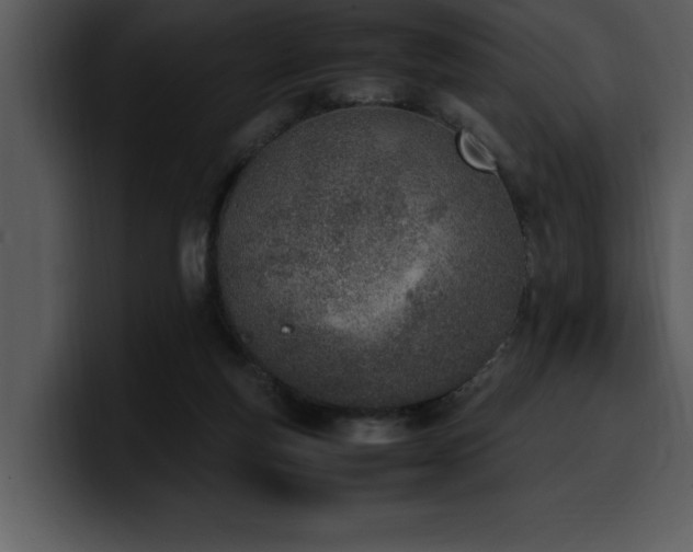 X0000100770163200806191248