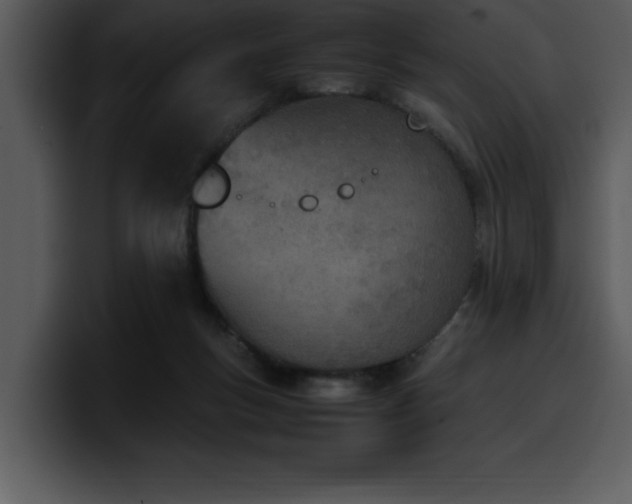 X0000100770167200806191249