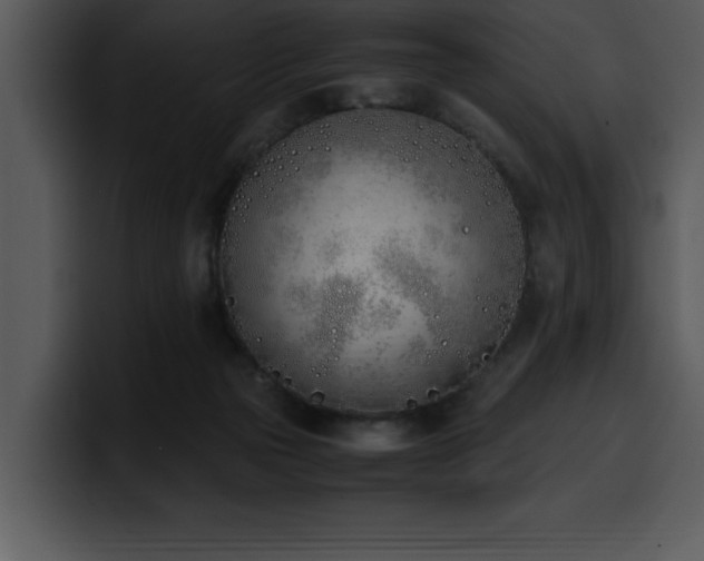 X0000100770169200806191249