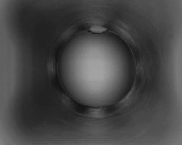 X0000100770170200806191249