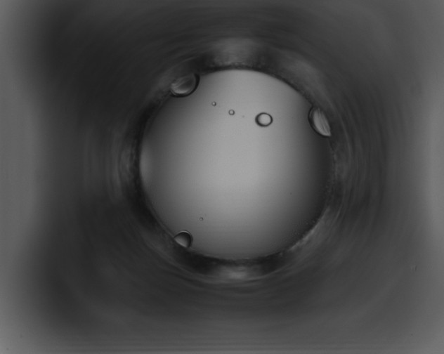 X0000100770171200806191249
