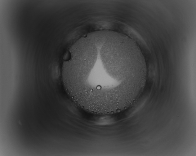X0000100770173200806191249
