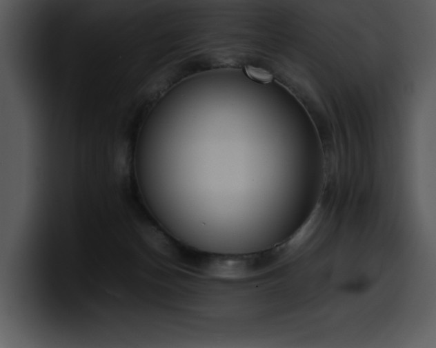 X0000100770174200806191249