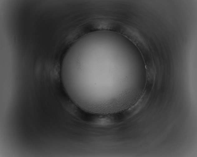 X0000100770175200806191249