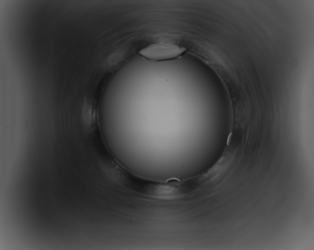 X0000100770176200806191249