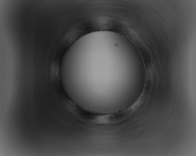 X0000100770178200806191249