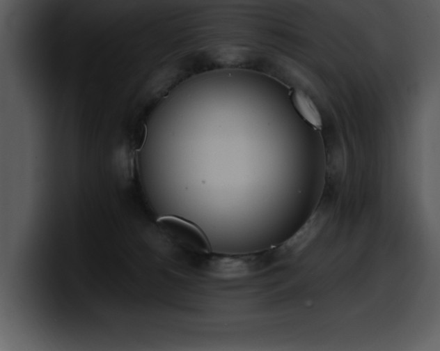 X0000100770180200806191249