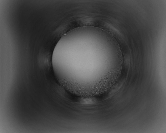 X0000100770181200806191249