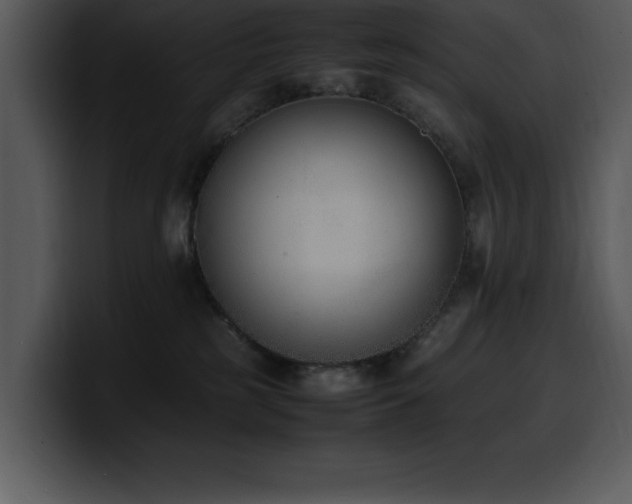 X0000100770185200806191249