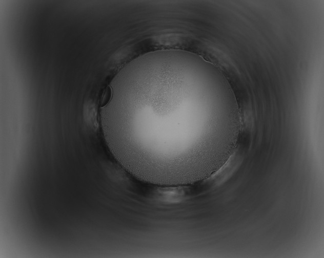 X0000100770187200806191249