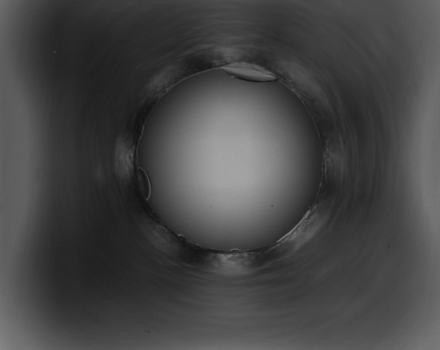 X0000100770188200806191249