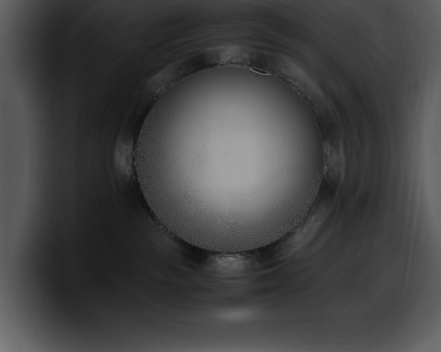 X0000100770189200806191249