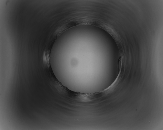 X0000100770190200806191249