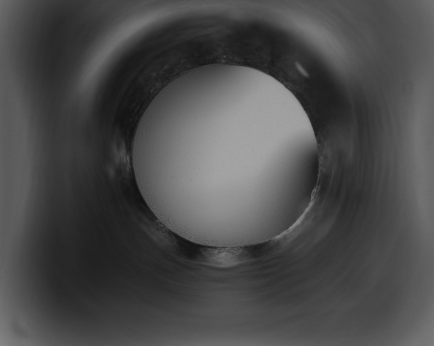 X0000100770191200806191249