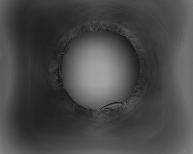 X0000100770192200806191249