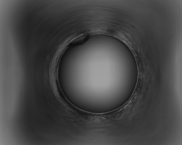 X0000100770193200806191248