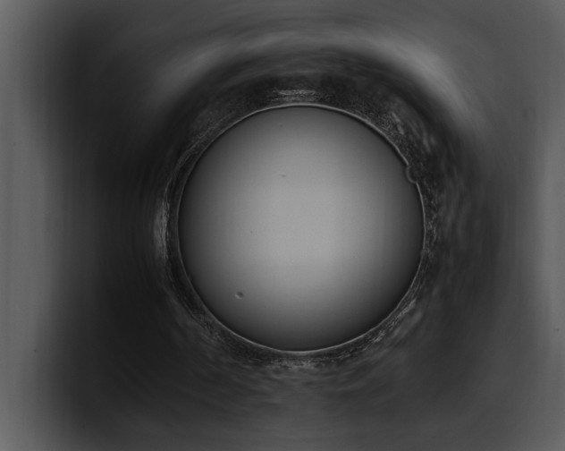 X0000100770194200806191248