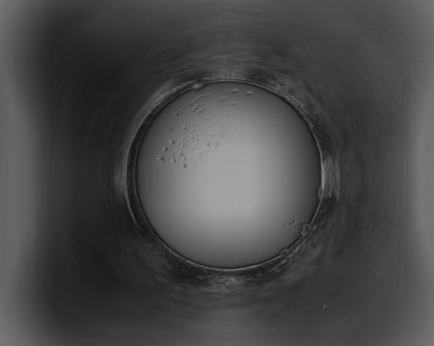 X0000100770195200806191248
