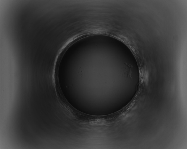 X0000100770196200806191248