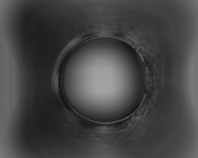 X0000100770197200806191248