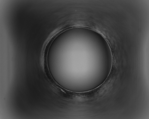 X0000100770199200806191248